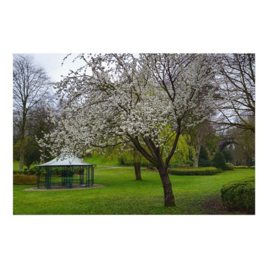 Blossom Fotodruck (Vorne)