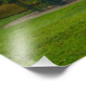 Blossom Fotodruck (Ecke)