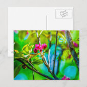 Blossom Inside Postkarte (Vorne/Hinten)