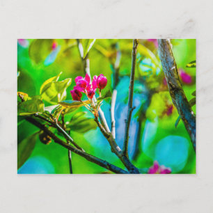 Blossom Inside Postkarte