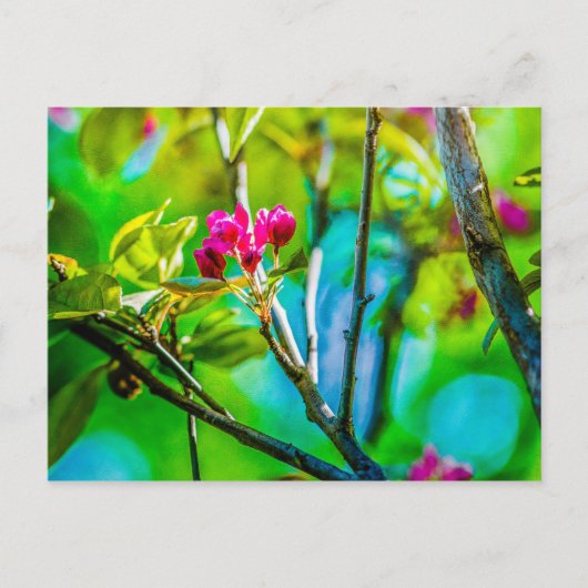 Blossom Inside Postkarte (Vorderseite)