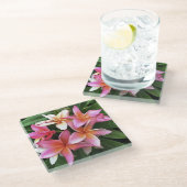 Blossom-Kranz von hellrosa Frangipani Glasuntersetzer (Schrägansicht)