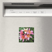Blossom-Kranz von hellrosa Frangipani Magnet (In Situ (Geschirrspüler))