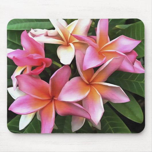 Blossom-Kranz von hellrosa Frangipani Mousepad (Vorne)