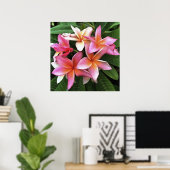 Blossom-Kranz von hellrosa Frangipani Poster (Heimbüro)