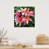 Blossom-Kranz von hellrosa Frangipani Poster (Küche)