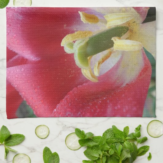 Blossom Küchentücher (Gefaltet)