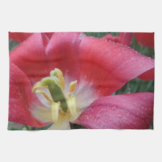 Blossom Küchentücher (Horizontal)