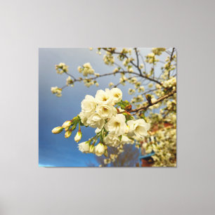 Blossom Leinwanddruck