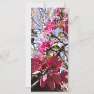 Blossom Lesezeichen