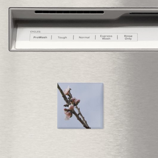 Blossom Magnet (In Situ (Geschirrspüler))