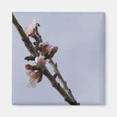 Blossom Magnet (Vorne)