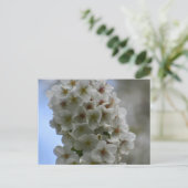 Blossom Postkarte (Stehend Vorderseite)
