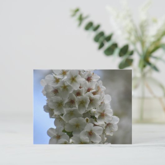 Blossom Postkarte (Stehend Vorderseite)