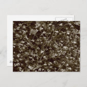 Blossom Postkarte (Vorne/Hinten)