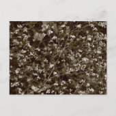 Blossom Postkarte (Vorderseite)