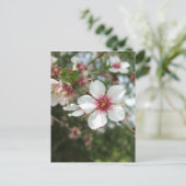 Blossom Postkarte (Stehend Vorderseite)