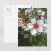 Blossom Postkarte (Vorne/Hinten)