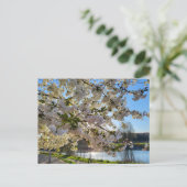 Blossom Postkarte (Stehend Vorderseite)