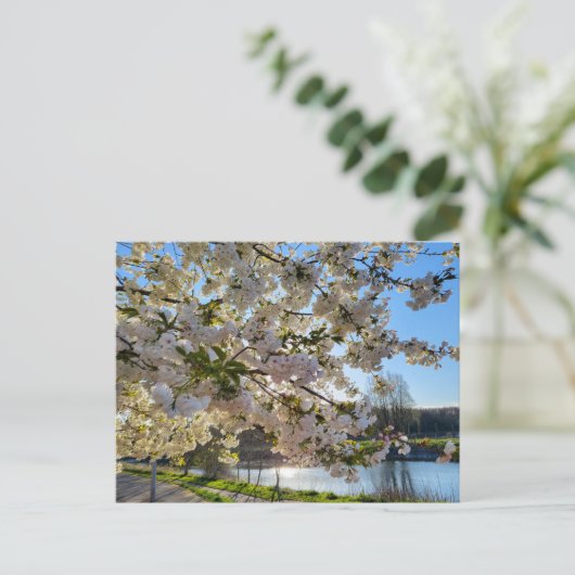 Blossom Postkarte (Stehend Vorderseite)