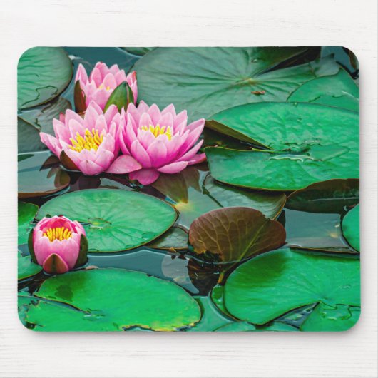 Blossom rosa Lotus auf dem See Mousepad (Vorne)
