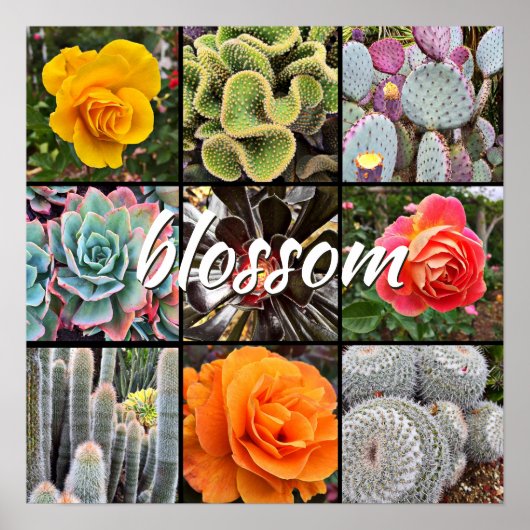 Blossom Script Moderne Cacti Rose Muster Foto Poster (Vorne)
