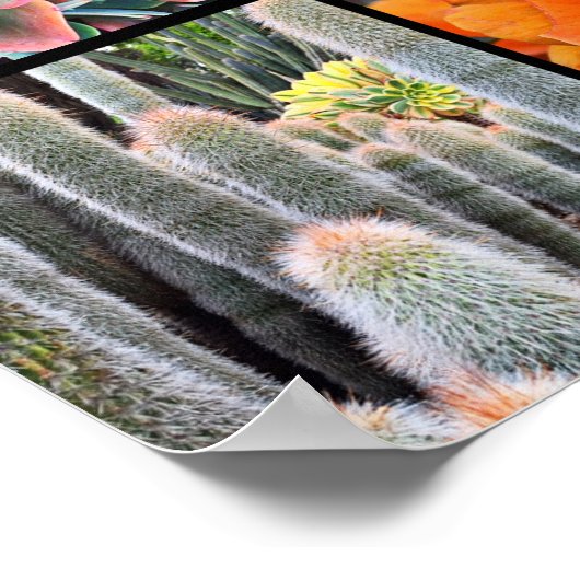 Blossom Script Moderne Cacti Rose Muster Foto Poster (Ecke)