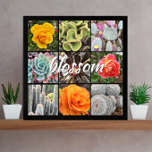 Blossom Script Moderne Cacti Rose Muster Foto Poster