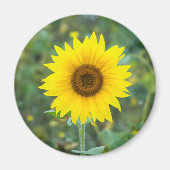 Blossom Sonnenblume Wildblume Magnet (Vorne)