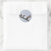 Blossom Stickers (Tasche)