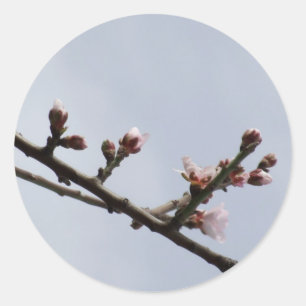 Blossom Stickers