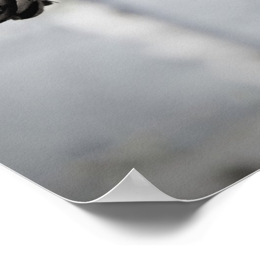 Blossom Tree Poster (Ecke)