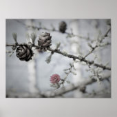 Blossom Tree Poster (Vorne)