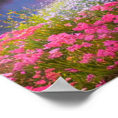 Blossom Wappen Poster (Ecke)