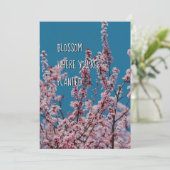 BLOSSOM WO PLANT | Christliche Förderung (Stehend Vorderseite)