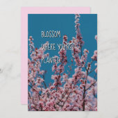 BLOSSOM WO PLANT | Christliche Förderung (Vorne/Hinten)