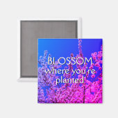 BLOSSOM, WO SIE PLANTIERT WERDEN MAGNET (Vorderseite/Rückseite)