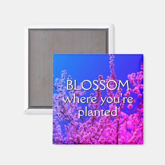 BLOSSOM, WO SIE PLANTIERT WERDEN MAGNET (Vorderseite/Rückseite)