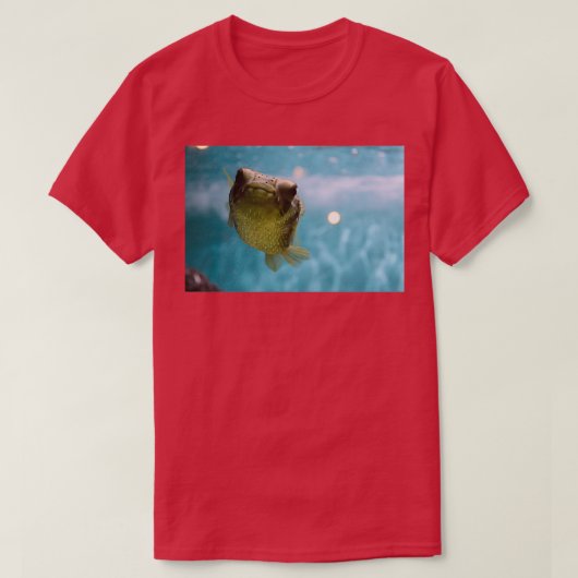 Blowfish Classic TShirt (Design vorne)