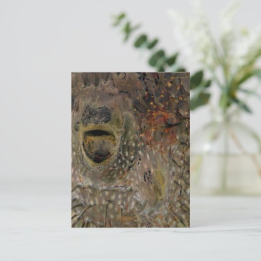 Blowfish-Vorfall Postkarte (Stehend Vorderseite)