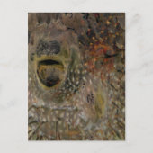 Blowfish-Vorfall Postkarte (Vorderseite)