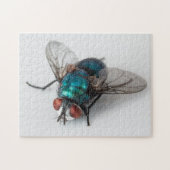 Blowfly Blue Bottle Fly Nah-up Bug Foto Puzzle (Horizontal)