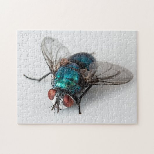 Blowfly Blue Bottle Fly Nah-up Bug Foto Puzzle (Horizontal)