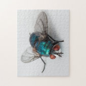 Blowfly Blue Bottle Fly Nah-up Bug Foto Puzzle (Vertikal)
