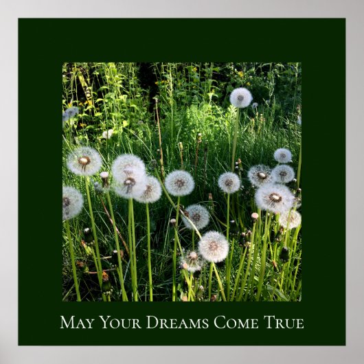 Blowing Dandelion Dreams Wish Botanical Poster (Vorne)
