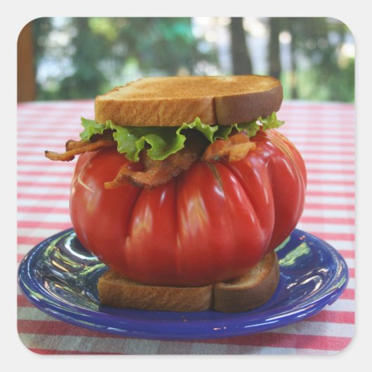 BLT mit RiesenTomate Quadratischer Aufkleber (Vorderseite)