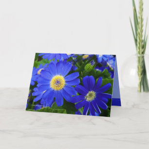 Blu Daisy Dankeskarte