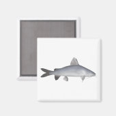 Blu Lmon Catfish Magnet (Vorderseite/Rückseite)