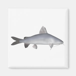 Blu Lmon Catfish Magnet