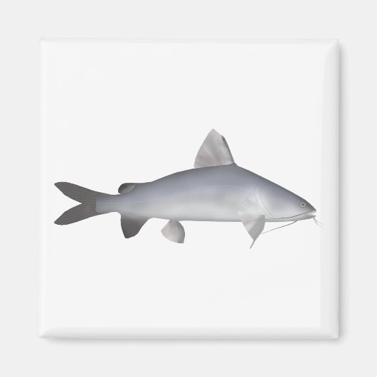 Blu Lmon Catfish Magnet (Vorne)